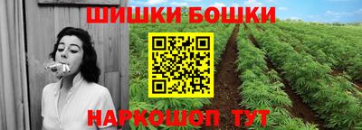 гидра Брянск