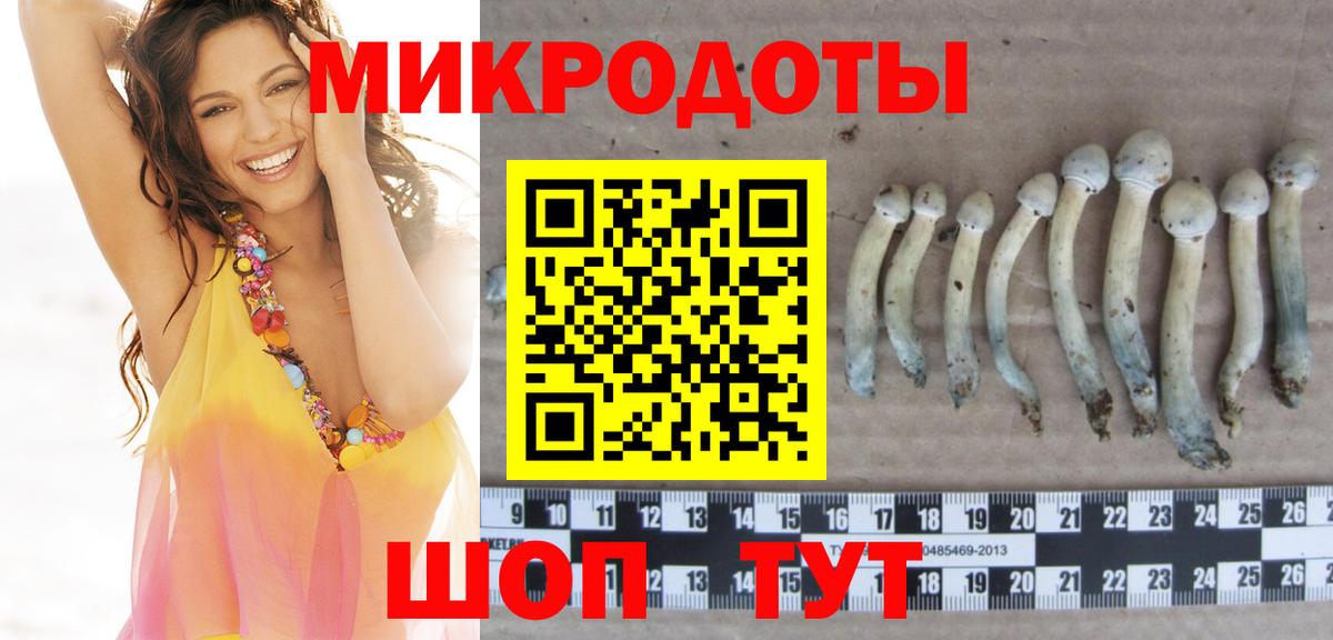 Псилоцибиновые грибы Cubensis Кинешма