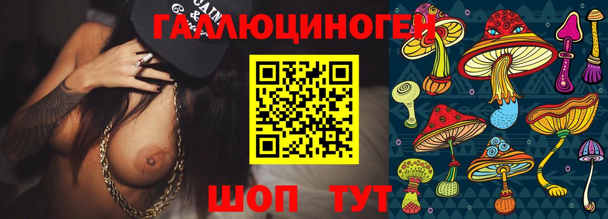 Псилоцибиновые грибы Psilocybe  купить наркотик  Кинешма  Вход с VPN 