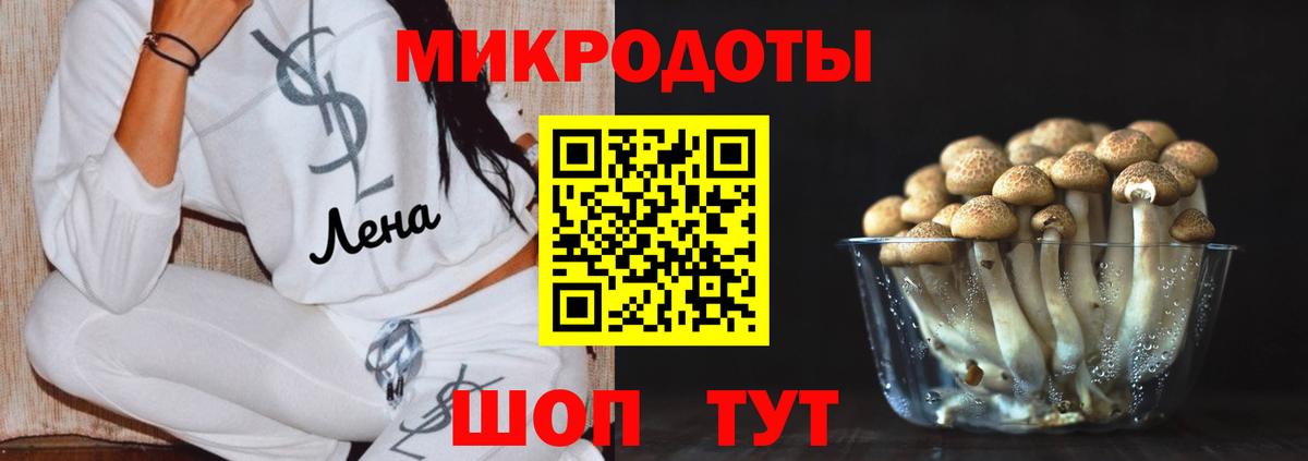 Псилоцибиновые грибы мухоморы Кинешма