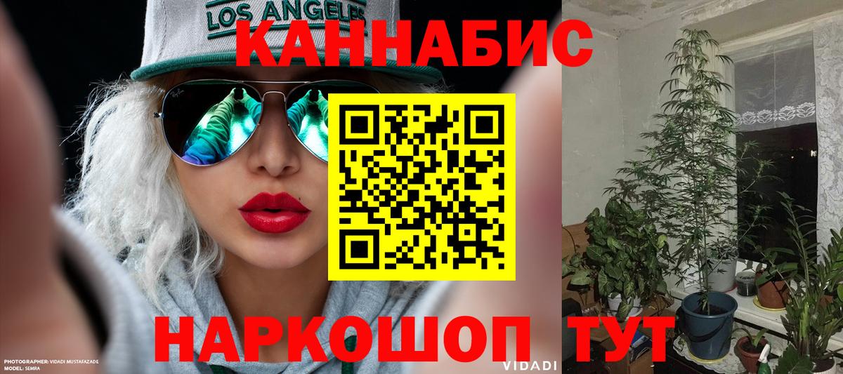 Бошки марихуана планчик  Вход с VPN  Канабис OG Kush  Кинешма 
